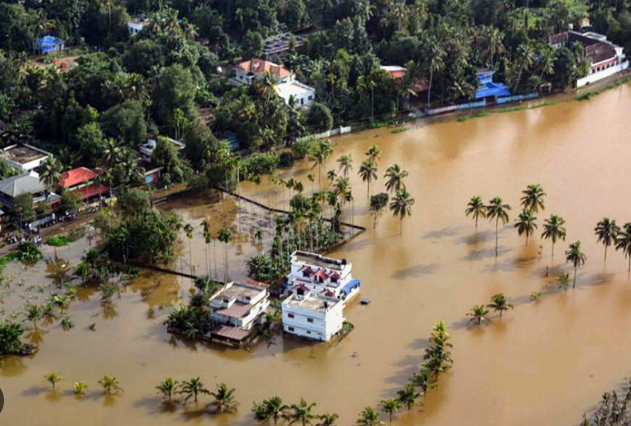 केरल में बारिश और बाढ़ से अब तक 3,264 हेक्टेयर फसल प्रभावित हुई है और करीब 36,829 किसान नुकसान झेल रहे हैं।
