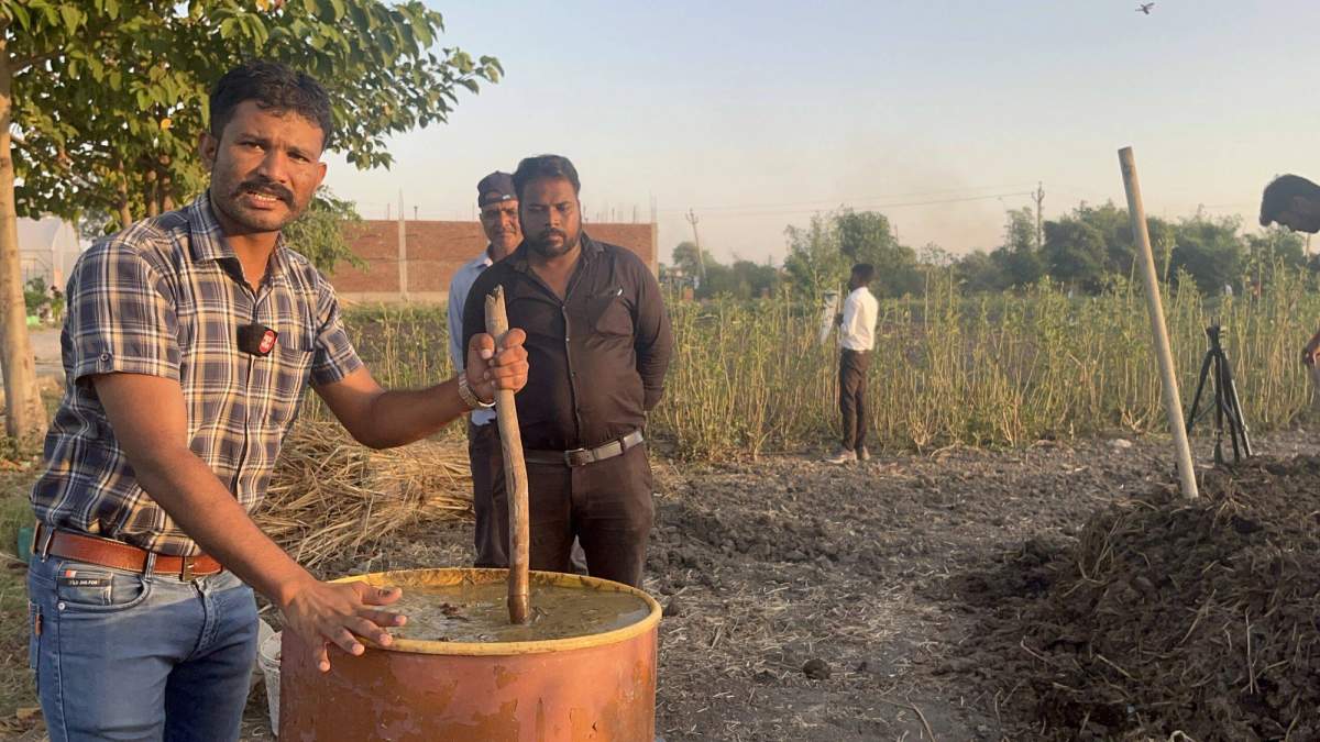 सरल कंपोस्ट: 45 दिन में तैयार करें गोबर की दमदार खाद