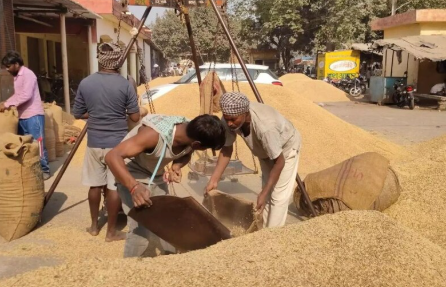 धान खरीद पर सरकार का नया लक्ष्य, पिछले साल से कम होगी खरीद