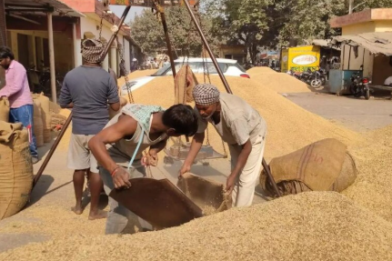 धान खरीद पर सरकार का नया लक्ष्य, पिछले साल से कम होगी खरीद