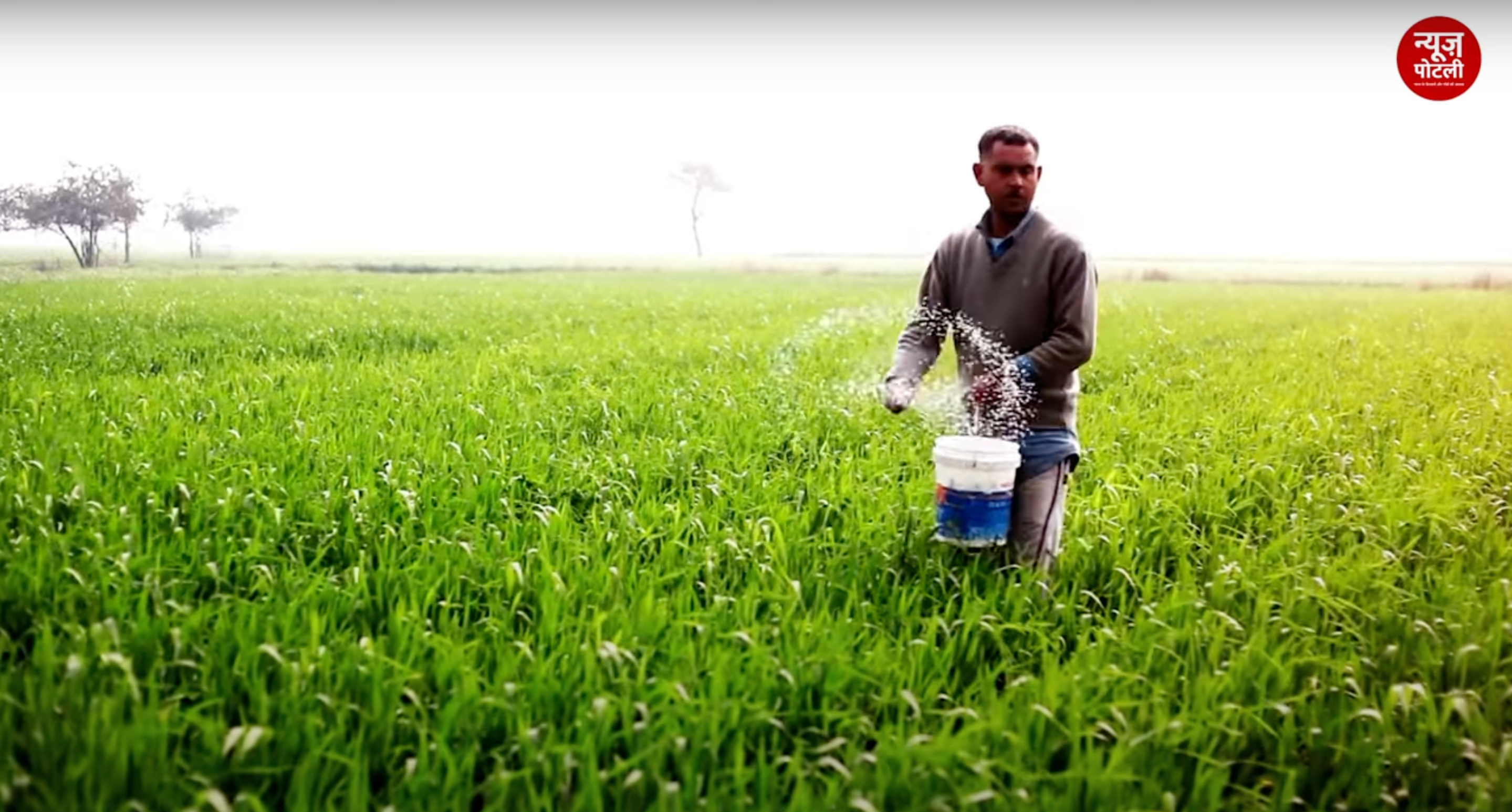 खेत की मिट्टी का Nitrogen Test करने का जानिए ये आसान तरीका