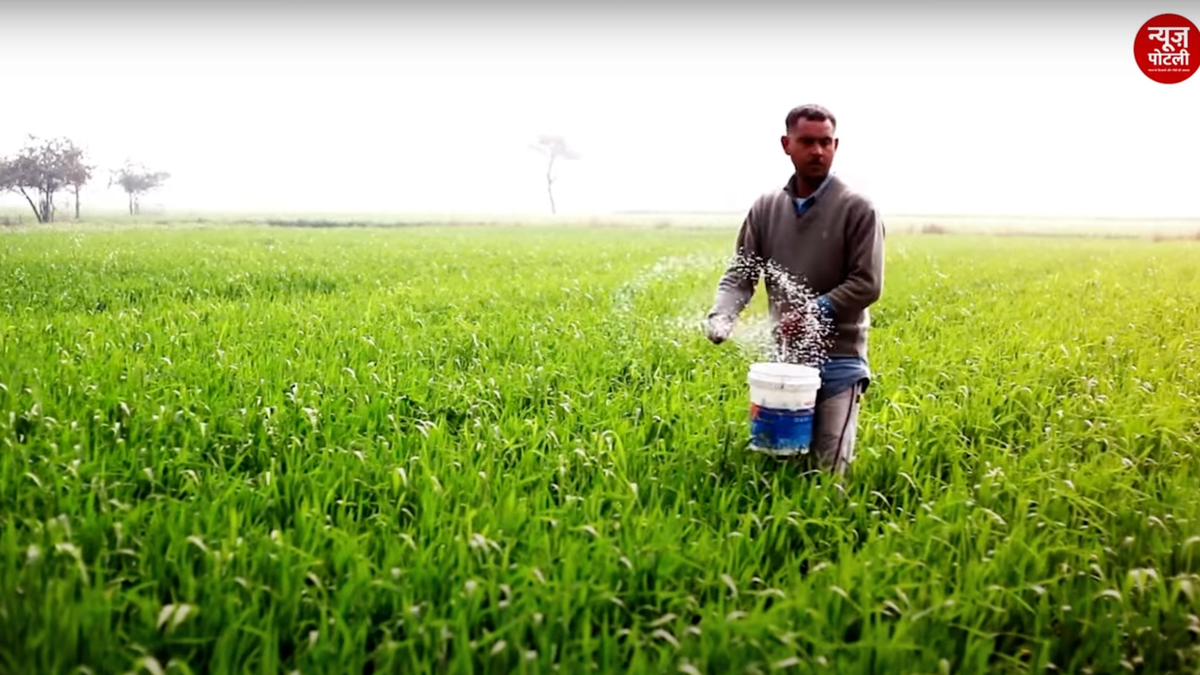 खेत की मिट्टी का Nitrogen Test करने का जानिए ये आसान तरीका
