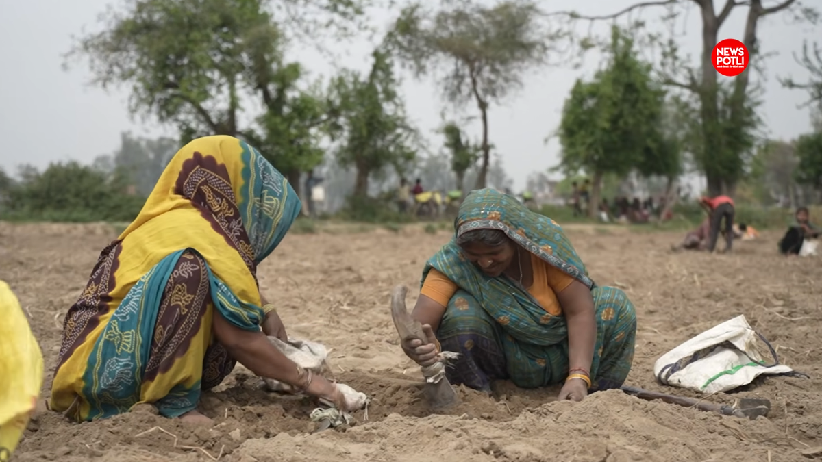 ग्रामीण रोजगार में महिलाओं की हिस्सेदारी 61.5%