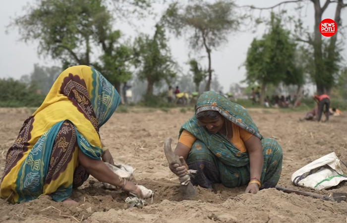 ग्रामीण रोजगार में महिलाओं की हिस्सेदारी 61.5%