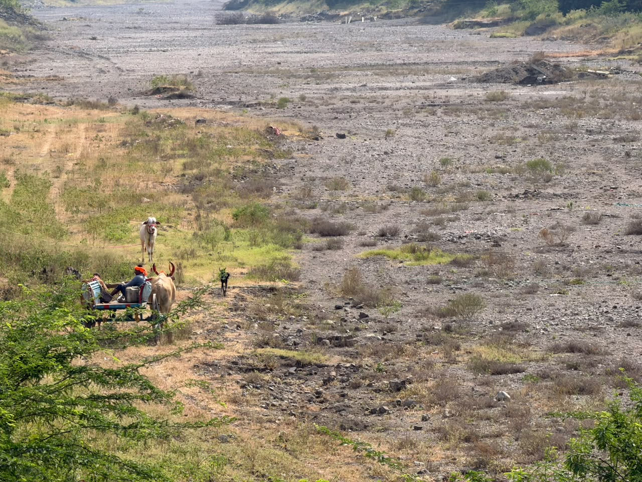 महाराष्ट्र के 305 तालुका सूखाग्रस्त, किसानों को दिवाली से पहले ₹5,000 की मदद