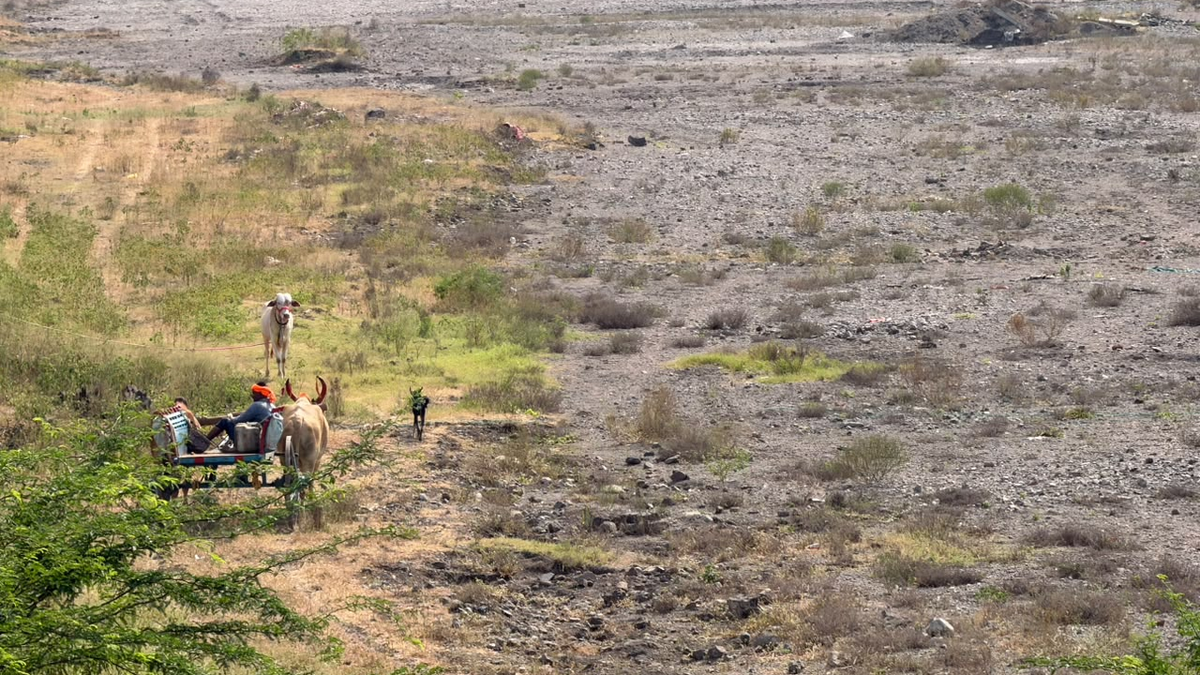 महाराष्ट्र के 305 तालुका सूखाग्रस्त, किसानों को दिवाली से पहले ₹5,000 की मदद