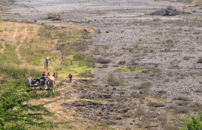 महाराष्ट्र के 305 तालुका सूखाग्रस्त, किसानों को दिवाली से पहले ₹5,000 की मदद