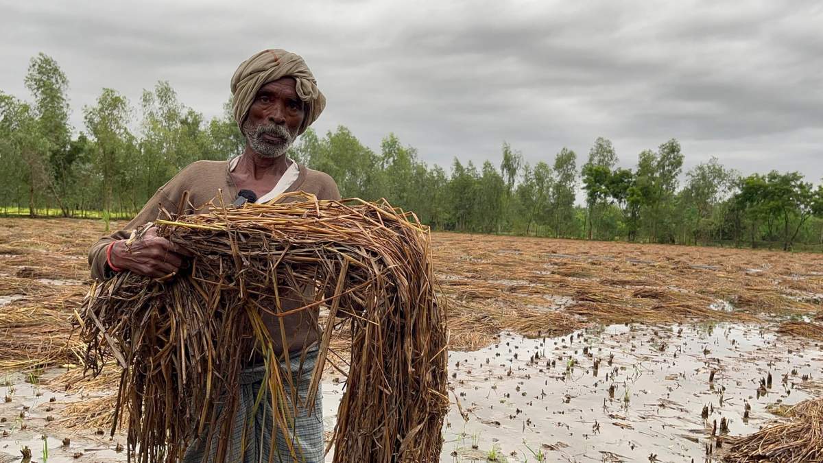जलवायु परिवर्तन कैसे दरका रहा है किसानों की उम्मीद, कृषि मंत्री के ऐलान से क्या बदलेगा?