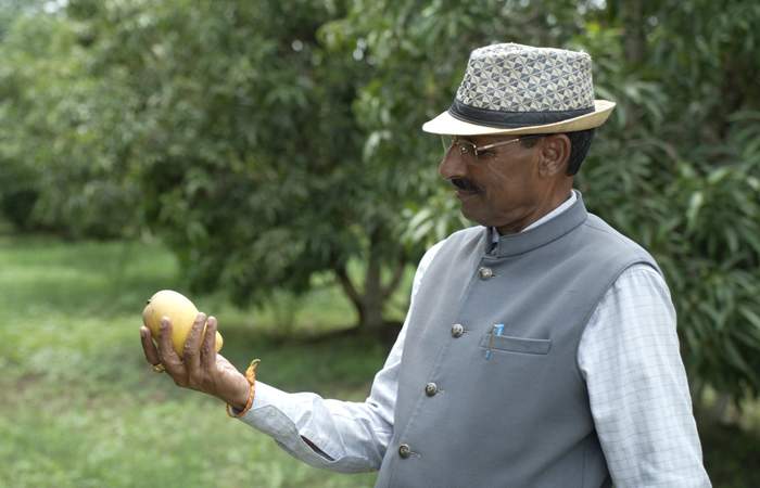 गुजरात के कच्छ का किसान मजदूर से कैसे बन गया Mango King?
