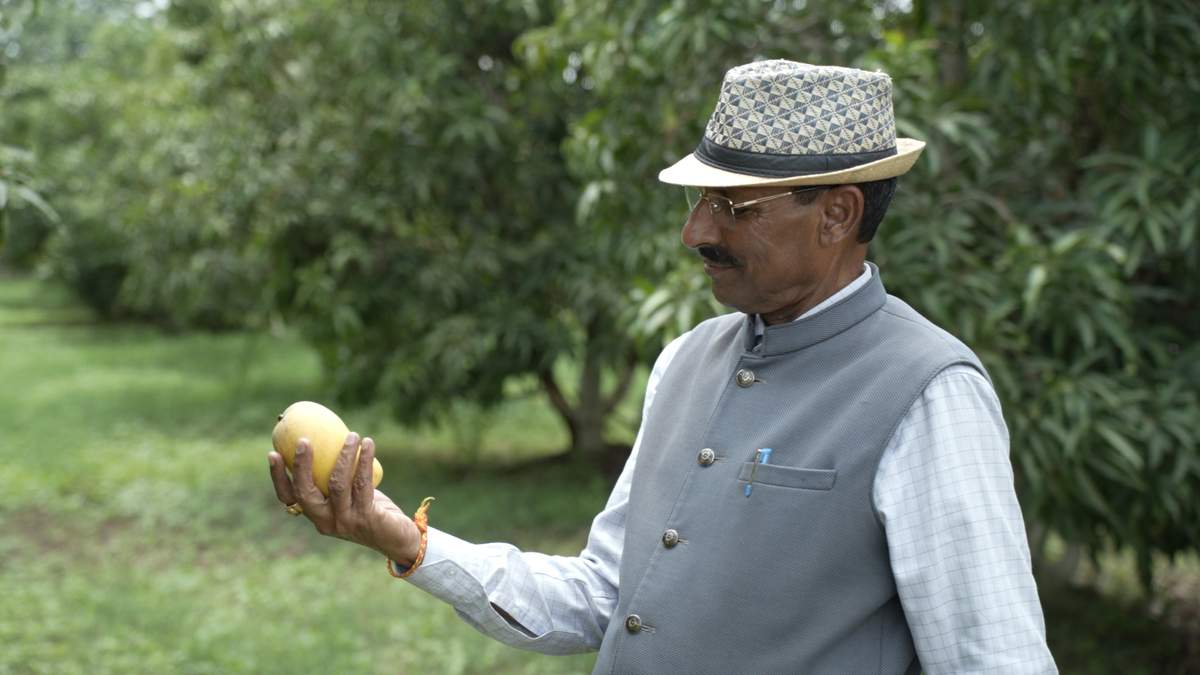 गुजरात के कच्छ का किसान मजदूर से कैसे बन गया Mango King?