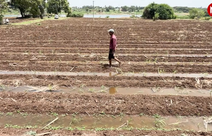 यूपी में अगले 2 हफ्ते कैसा रहेगा मौसम? किसानों के लिए जारी हुई खास एडवाइजरी