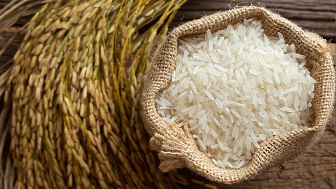 Basmati rice का निर्यात बढ़ाने के लिए योगी सरकार का बड़ा फैसला, यूपी के 30 जिलों में 10 कीटनाशकों के इस्तेमाल पर लगाई रोक