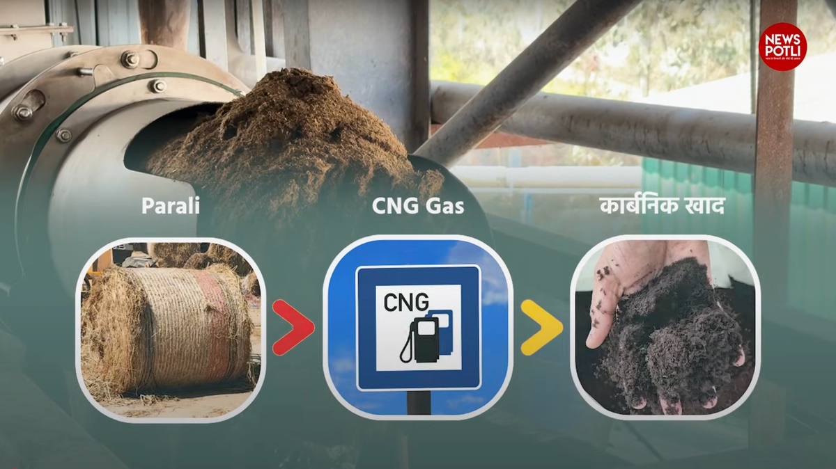 पराली से कार्बनिक खाद बना रही है Reliance Industry
