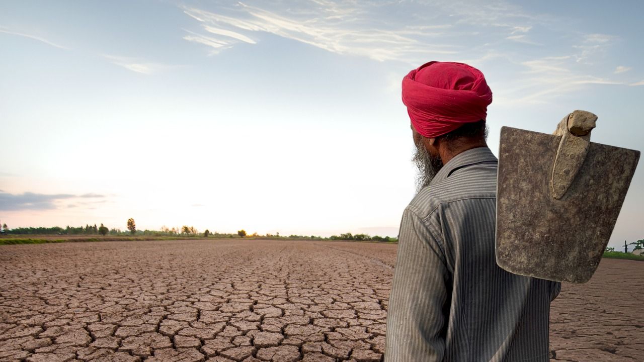 देश की खराब हो रही 30% खेती की ज़मीन की गुणवत्ता में कैसे सुधार होगा?