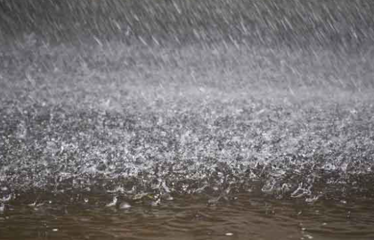 IMD ने आज मध्य प्रदेश, राजस्थान, पंजाब, हरियाणा, गुजरात, कोंकण-गोवा और ओडिशा समेत कई राज्यों में भारी बारिश का अलर्ट जारी किया है।