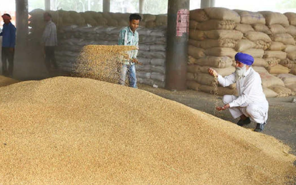 गेहूं निर्यात कोटे की होगी समीक्षा