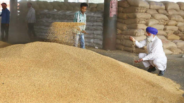 गेहूं निर्यात कोटे की होगी समीक्षा