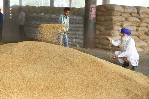 गेहूं निर्यात कोटे की होगी समीक्षा