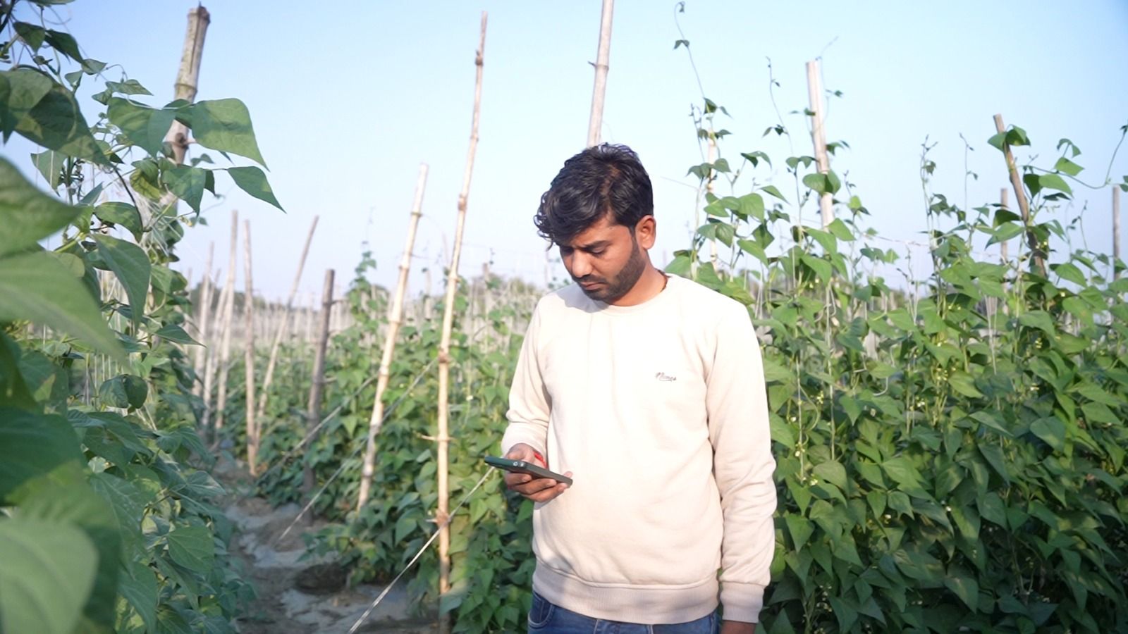 'Bihar Krishi App'...इसका उपयोग, डाउनलोड और रजिस्ट्रेशन का तरीका जानिए