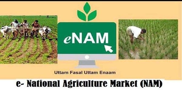 किसान ऑनलाइन बेच सकते हैं अपनी फसल, जानिए घर बैठे e-NAM पर कैसे करें रजिस्ट्रेशन,