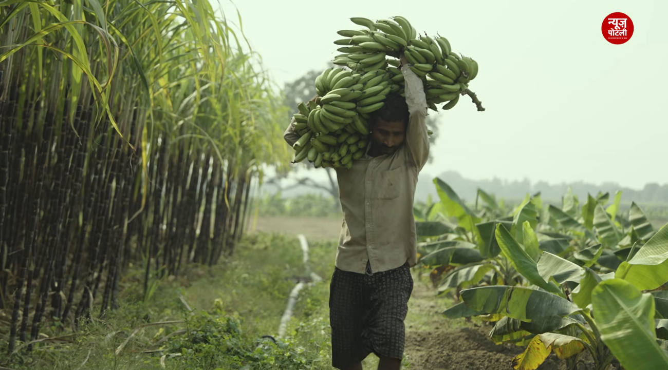 किसानों का सस्ता होगा कर्ज? ₹3 लाख तक के कृषि ऋण पर 1% अतिरिक्त ब्याज सहायता