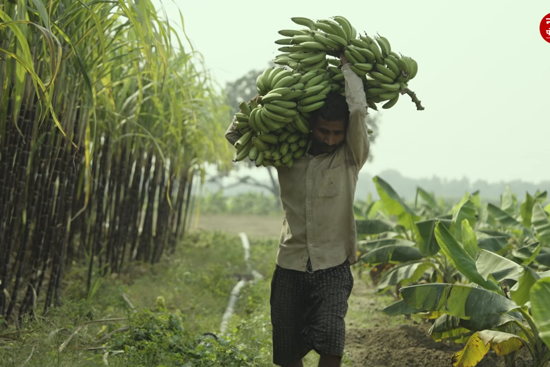 किसानों का सस्ता होगा कर्ज? ₹3 लाख तक के कृषि ऋण पर 1% अतिरिक्त ब्याज सहायता