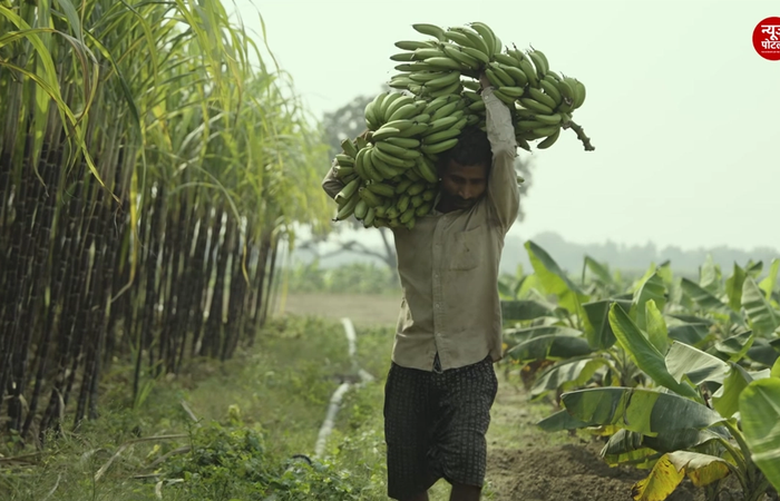 किसानों का सस्ता होगा कर्ज? ₹3 लाख तक के कृषि ऋण पर 1% अतिरिक्त ब्याज सहायता