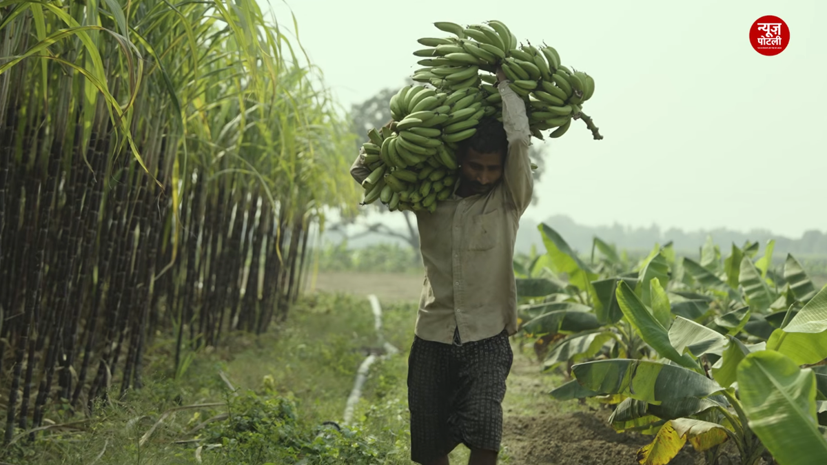 किसानों का सस्ता होगा कर्ज? ₹3 लाख तक के कृषि ऋण पर 1% अतिरिक्त ब्याज सहायता