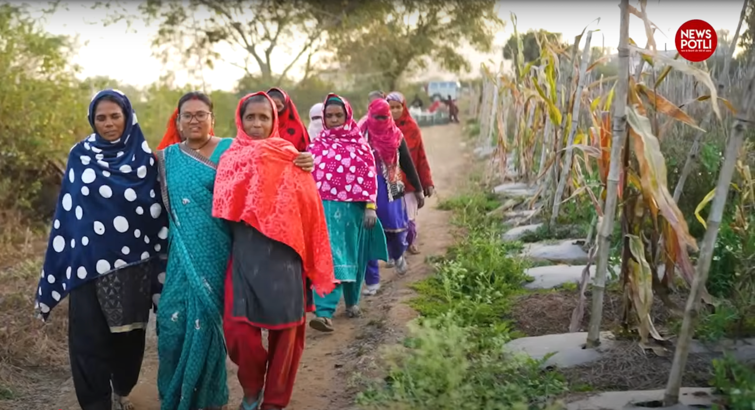 उत्तर प्रदेश में कृषि सखियां सिखाएंगी प्राकृतिक खेती, मिलेगा 5,000 रुपये वेतन