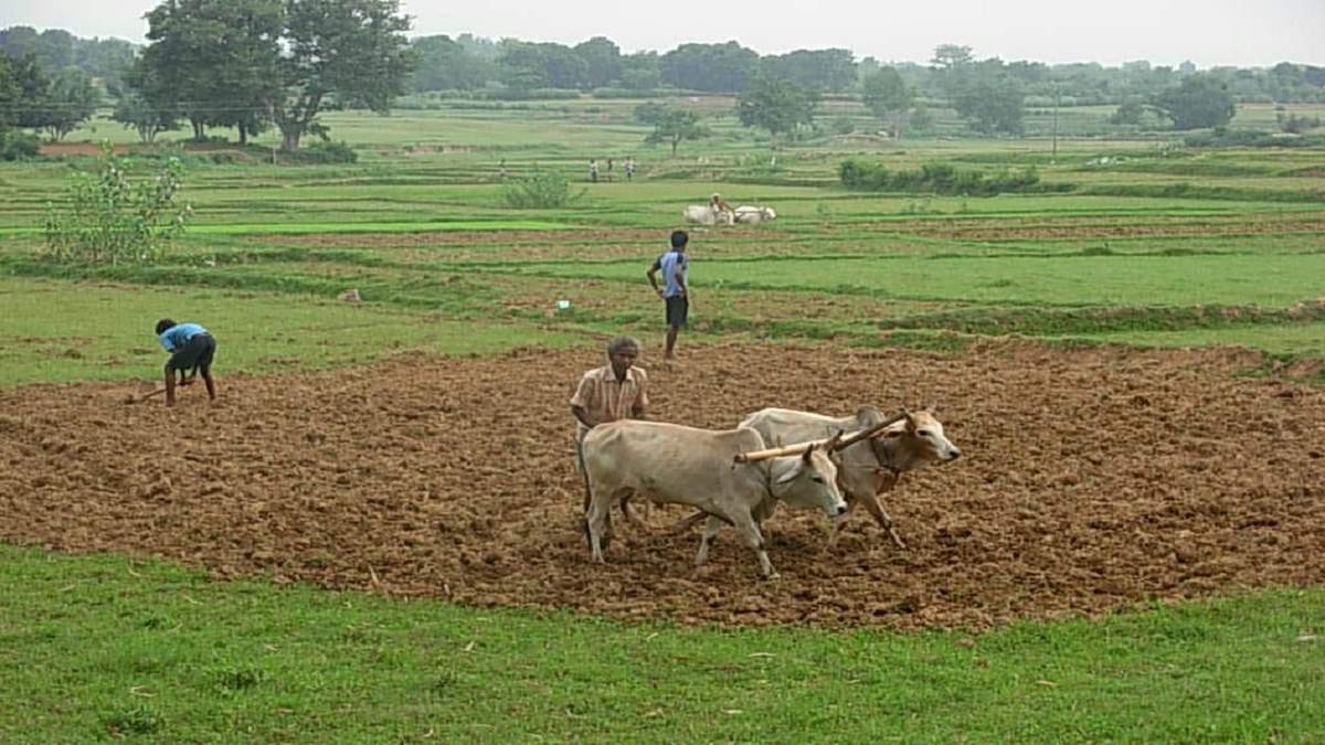 इस राज्य के किसानों को तोहफा, एक बार में ही माफ होगा दो लाख रुपए तक कृषि लोन