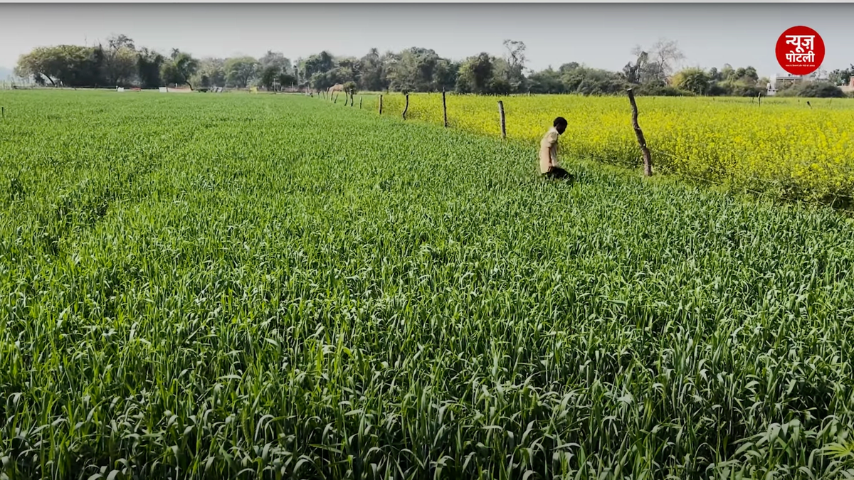2024-25 में रबी फसल क्षेत्र में 14.35 लाख हेक्टेयर की वृद्धि हुई है: कृषि राज्य मंत्री रामनाथ ठाकुर
