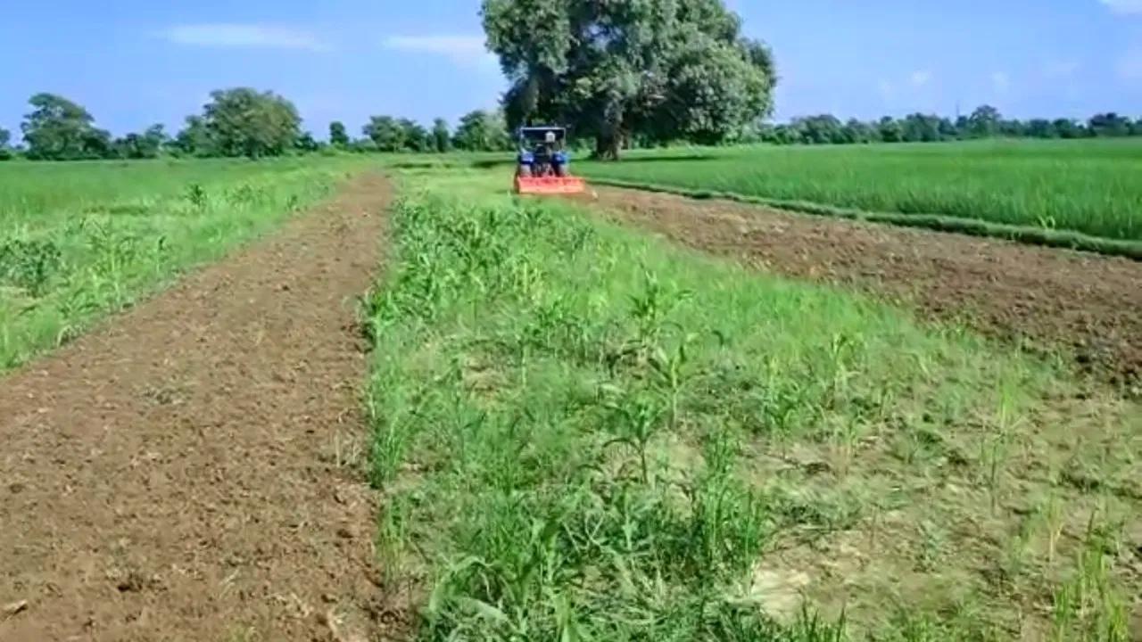 बिहार के 10,000 गांवों में होगा Digital crop survey, लेकिन इससे क‍िसानों का क्‍या फायदा होगा?
