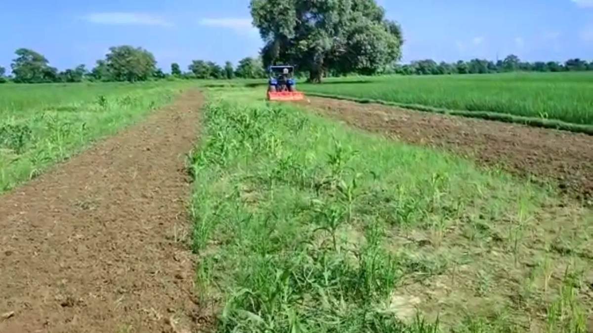 बिहार के 10,000 गांवों में होगा Digital crop survey, लेकिन इससे किसानों का क्या फायदा होगा?