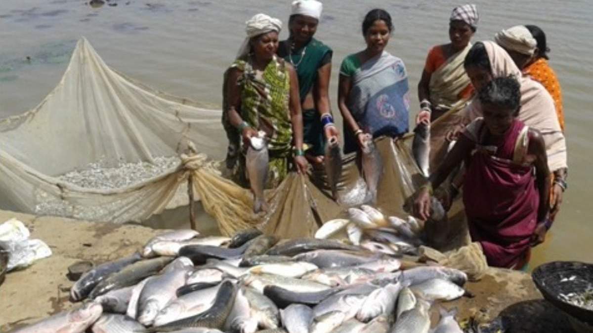 मछली पालन के लिए बिहार सरकार दे रही 60% तक सब्सिडी, 31 जुलाई तक मौका