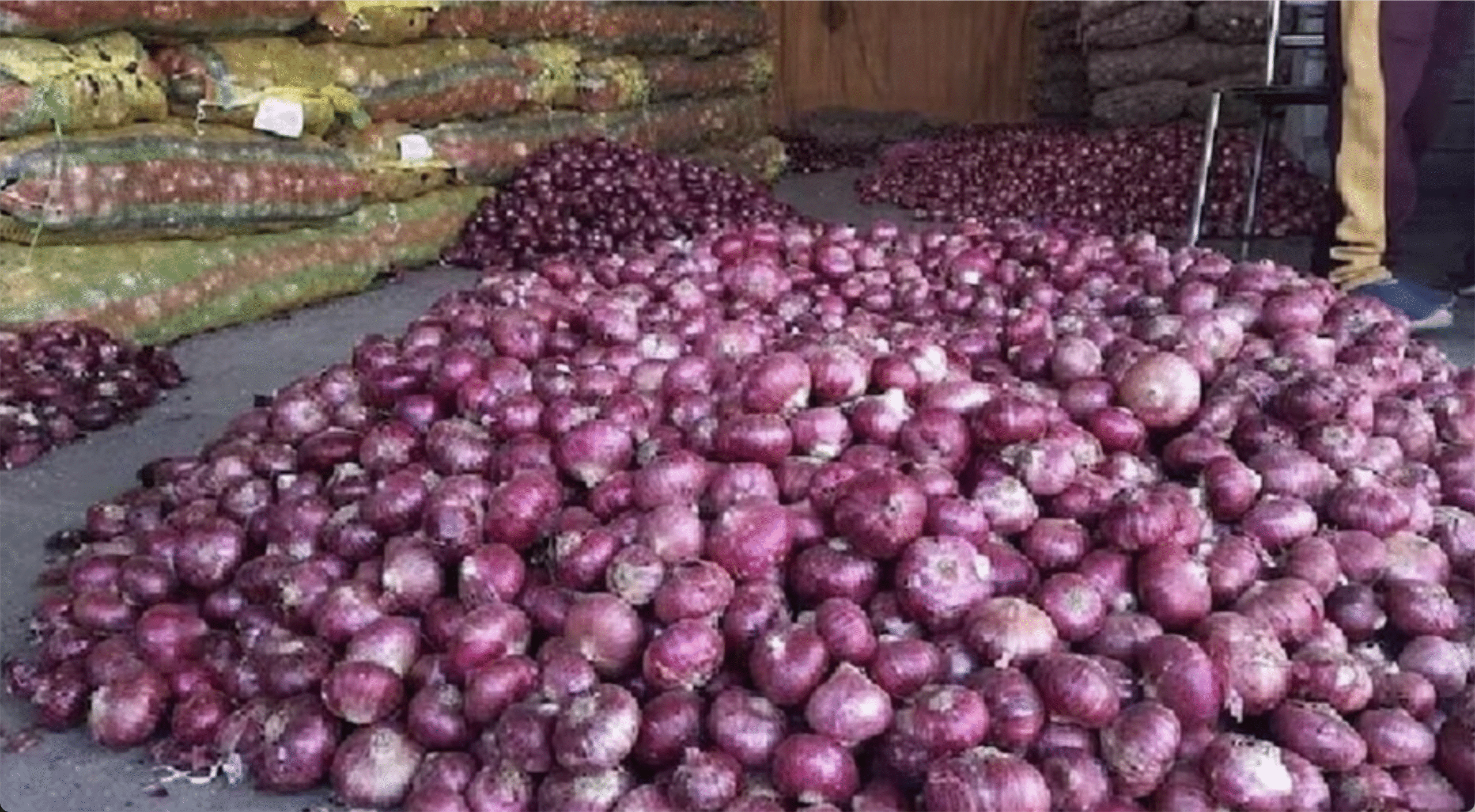 सरकारी नीतियों से प्याज किसानों को नुकसान, एसोसिएशन का आरोप