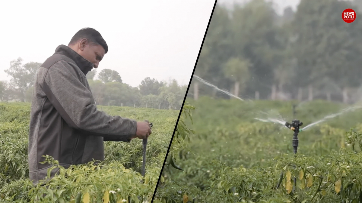 एक बीघे से लाखों की कमाई, जानिए मिर्च किसान छोटेलाल की कहानी