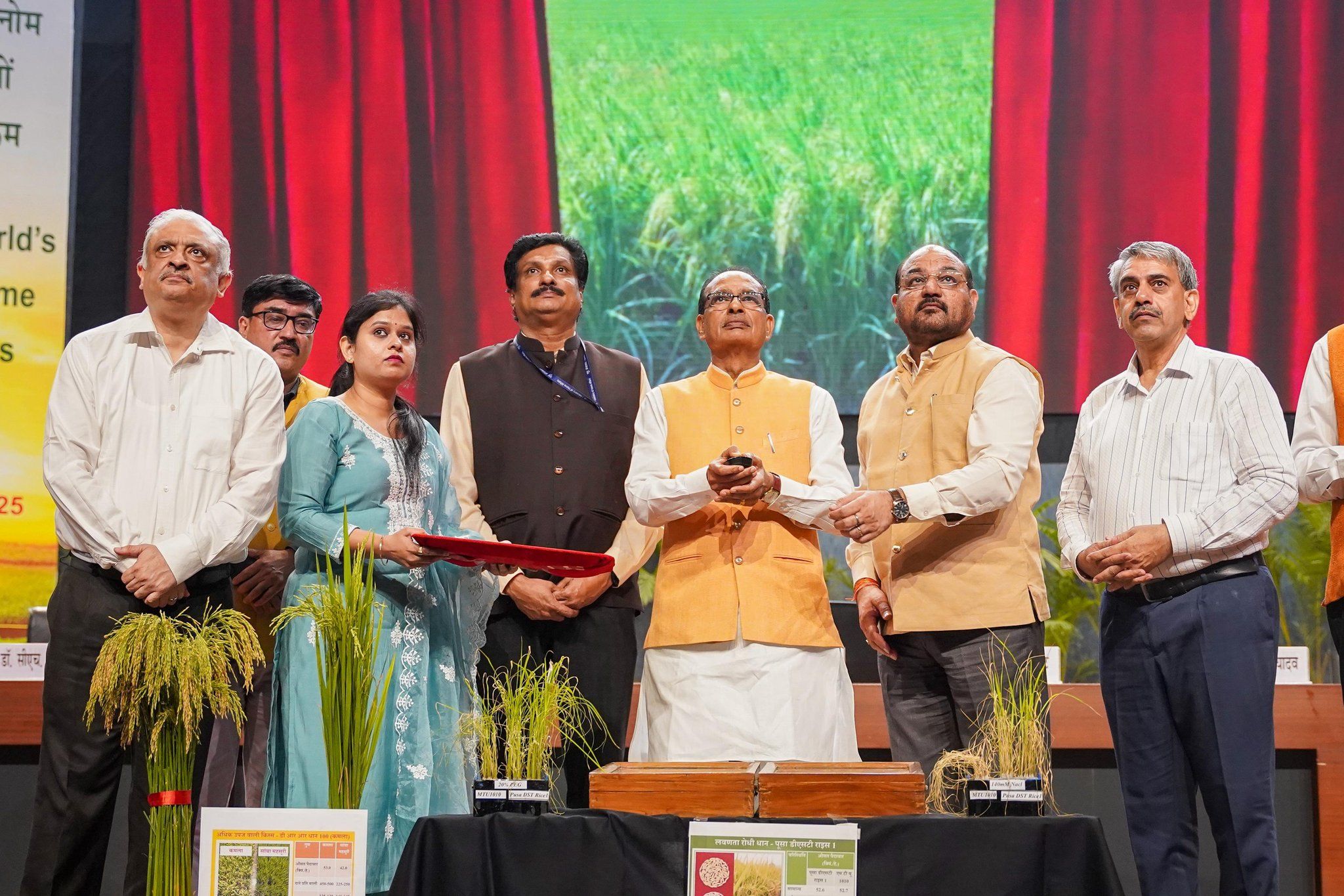 भारत में पहली जीनोम संपादित धान की दो नई किस्में लॉन्च, पढ़िए- क्या है इनकी खासियत?