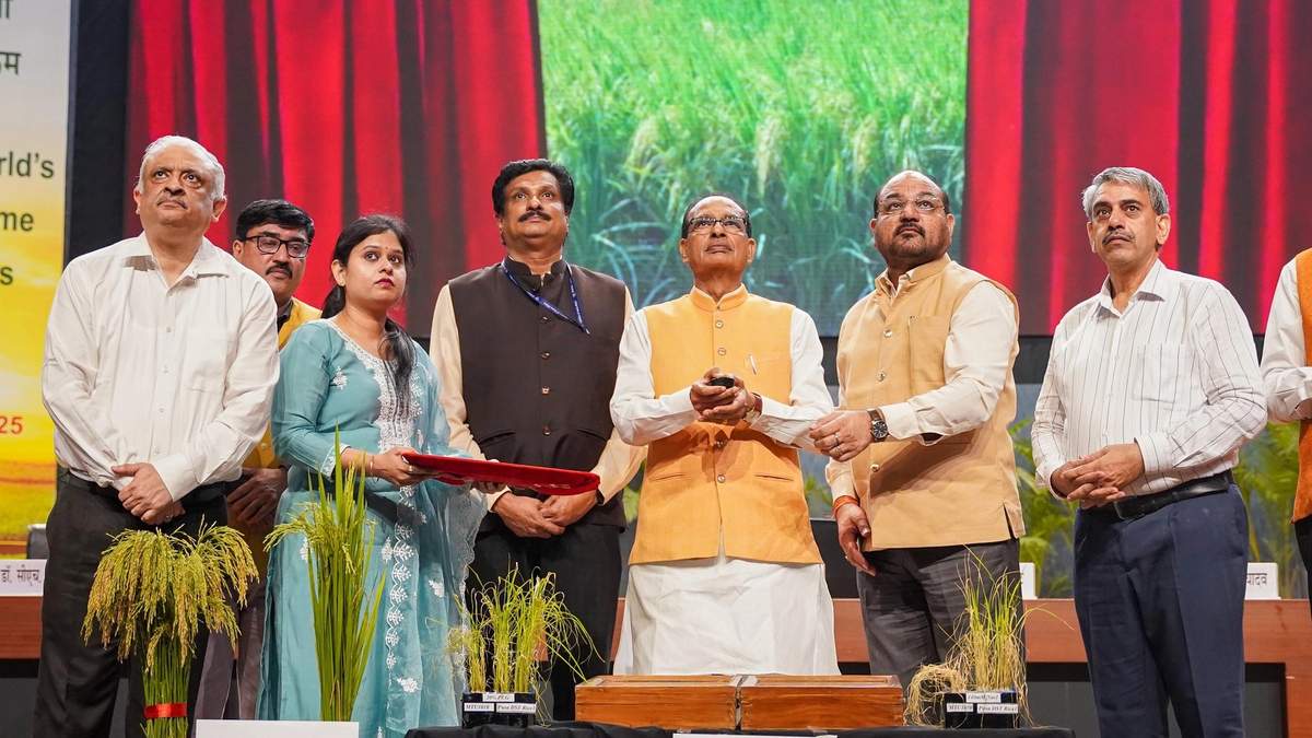 भारत में पहली जीनोम संपादित धान की दो नई किस्में लॉन्च, पढ़िए- क्या है इनकी खासियत?
