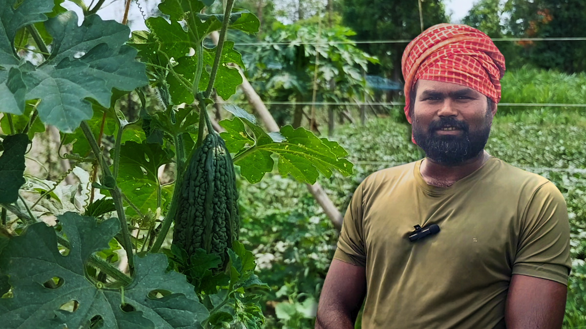 किन सब्जियों की खेती पर सब्सिडी दे रही बिहार सरकार?
