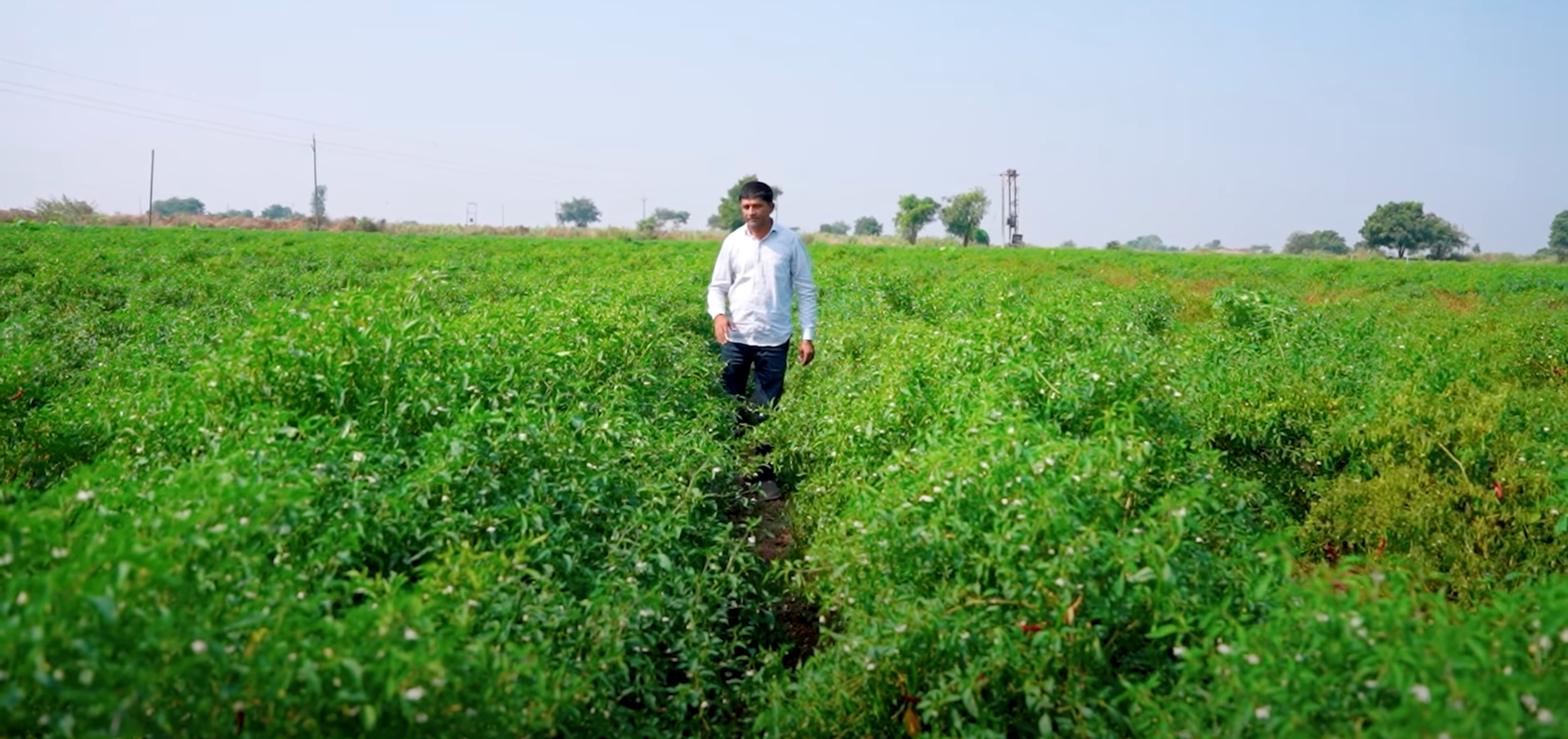 Budget 2025: Kisan Credit Card की लिमिट बढ़ाकर ₹5 लाख की गई