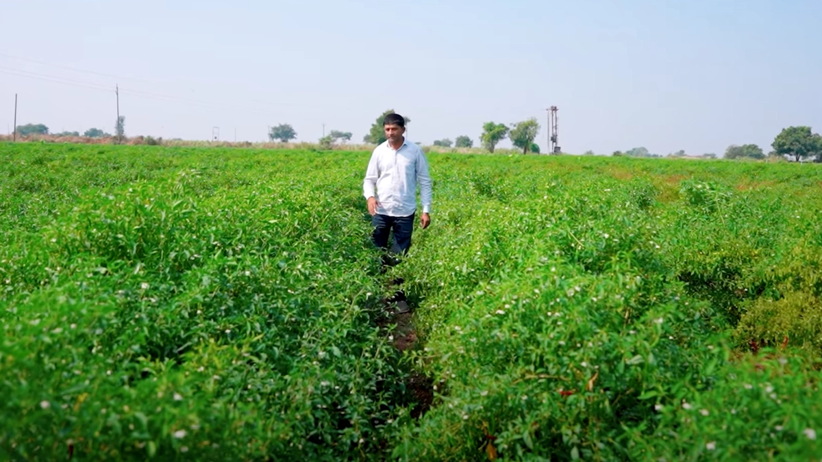 Budget 2025: Kisan Credit Card की लिमिट बढ़ाकर ₹5 लाख की गई