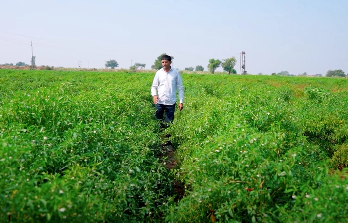 Budget 2025: Kisan Credit Card की लिमिट बढ़ाकर ₹5 लाख की गई
