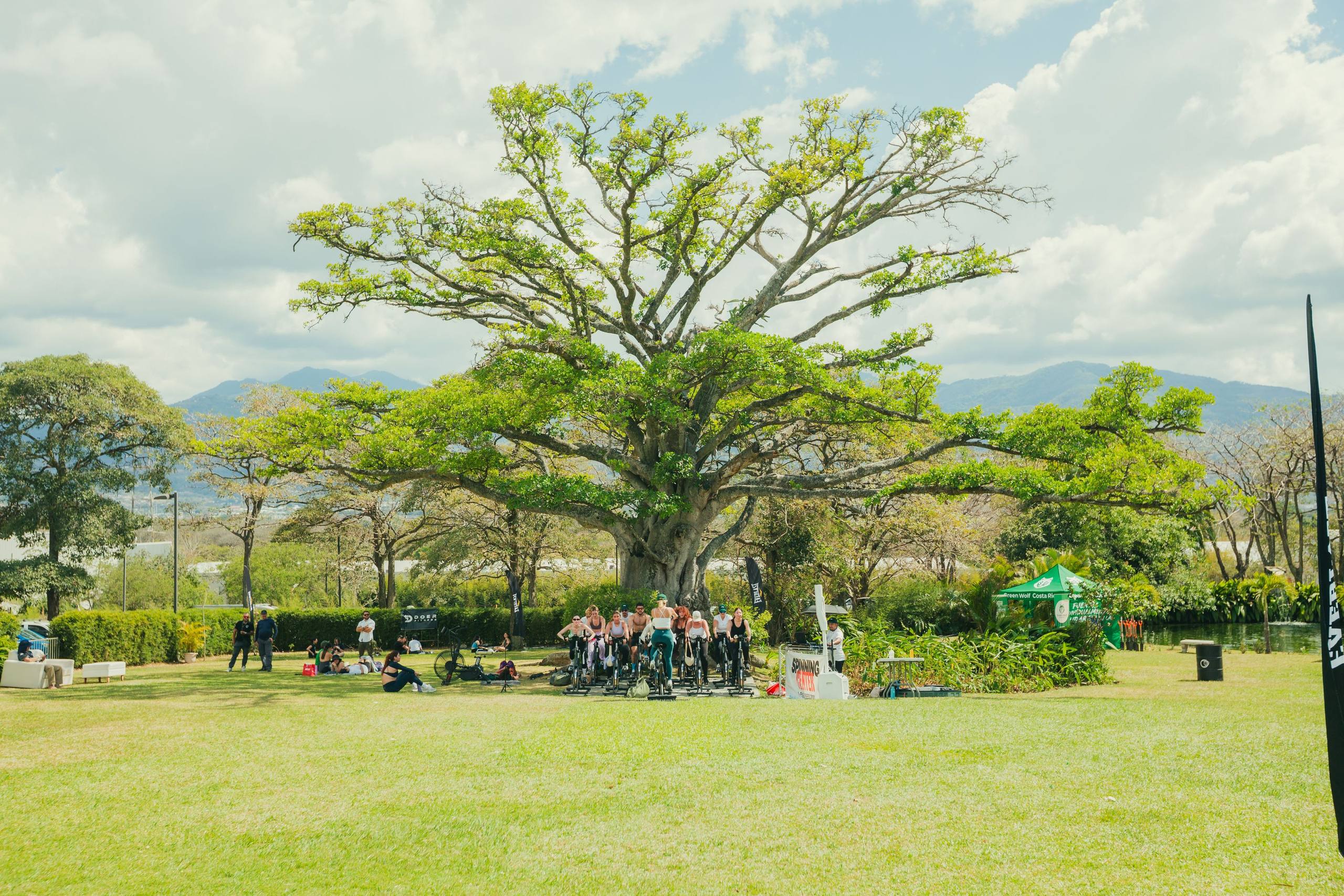 El gran árbol de Campo Lago con las montañas al fondo, durante Dharma Fest