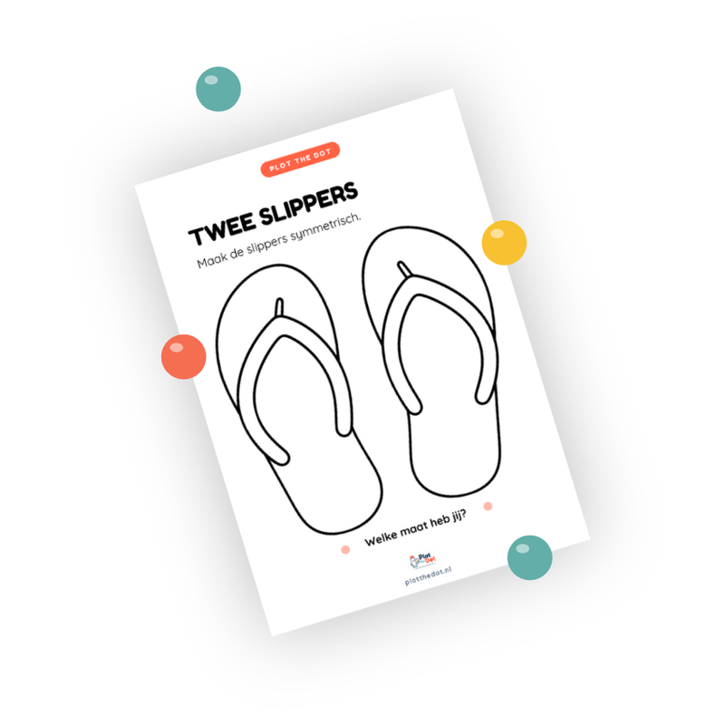 Voorbeeld van Twee slippers