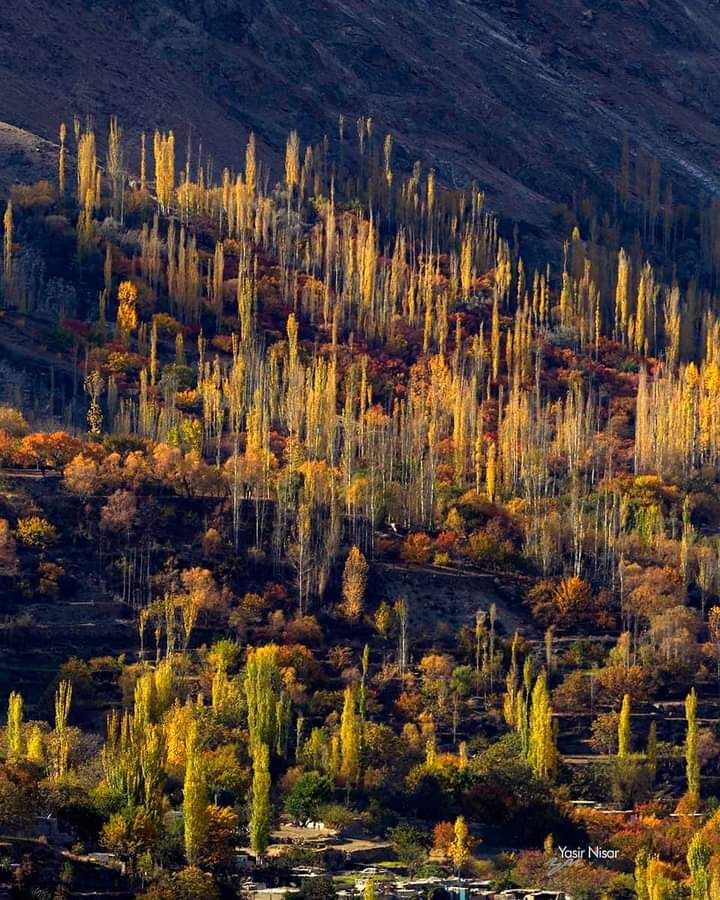 Village Homestay w/ Bonfire & Home Meals, HP in Kraming Khaplu, HP 1