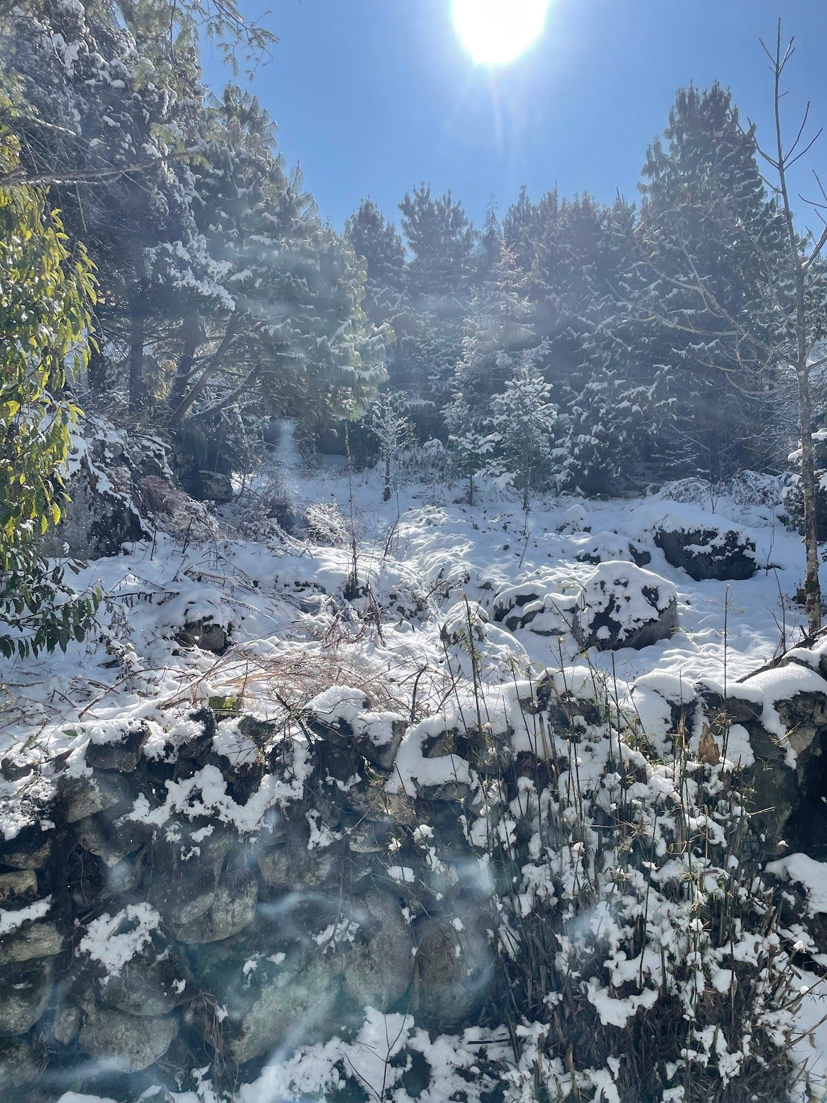 Mountain View Homestay w/ Top HP, Sikkim in Lachung, Sikkim 8