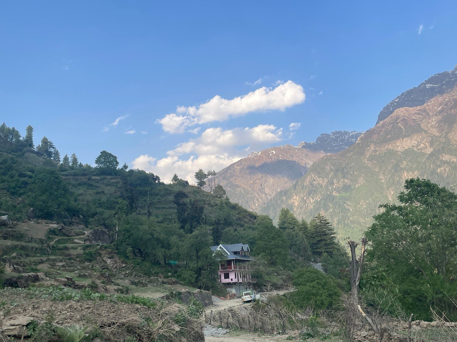 Wooden Hall Homestay w/ Home Meals & Treks, HP in Janglik, HP 5