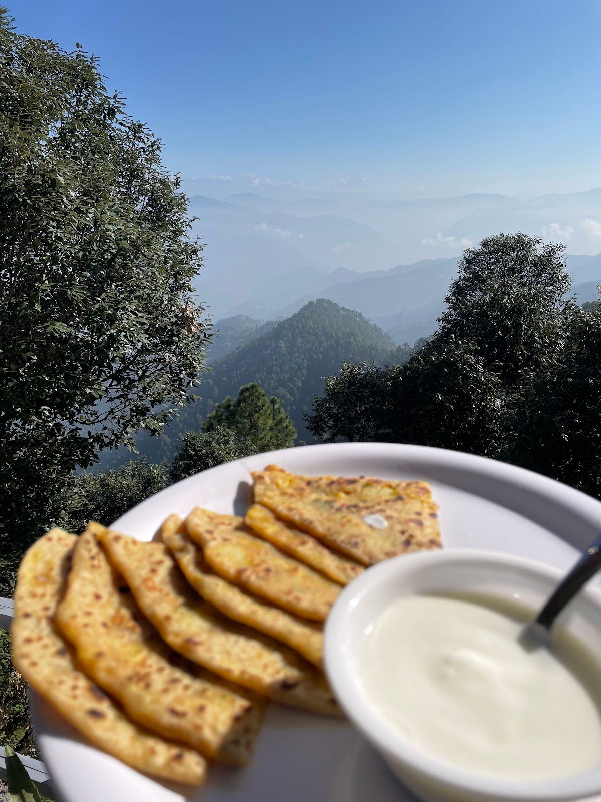 Mountain View Homestay w/ Home Meals, Uttarakhand in Uttarakhand 8