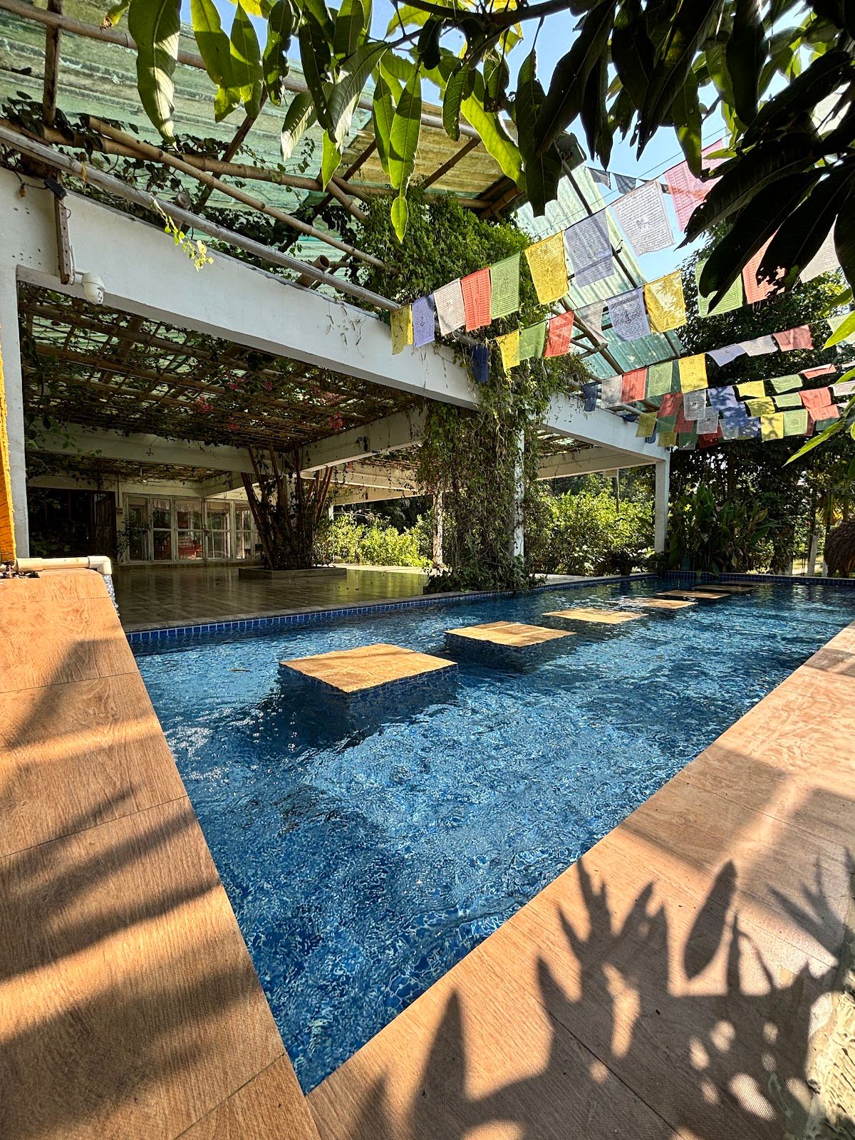 Forest Homestay, Dense Woods & Trails, Uttarakhand - Assam photo 5