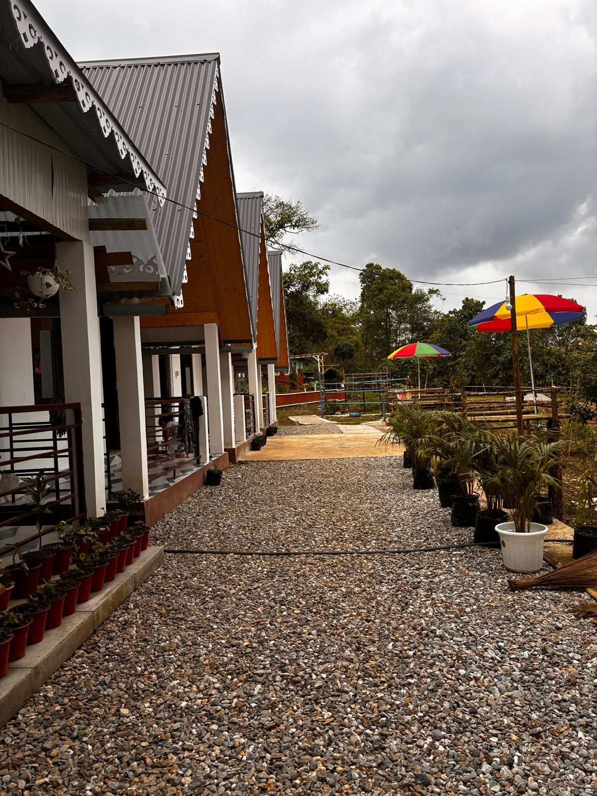 Cabin homestay in Sittong, Kanchenjunga view...